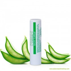 Aloe Vera Lippenbalsam