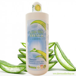 Aloe Vera Shampoo 500ml