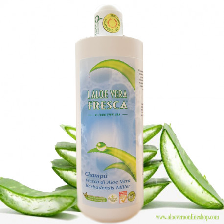 Aloe Vera Shampoo 500ml