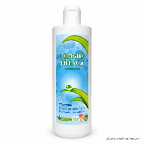 Aloe Vera Shampoo 500ml - 1